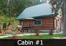 cabin1 small